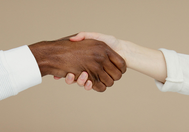 Brand Partnership