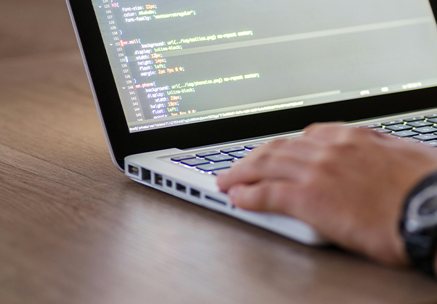 Website Development